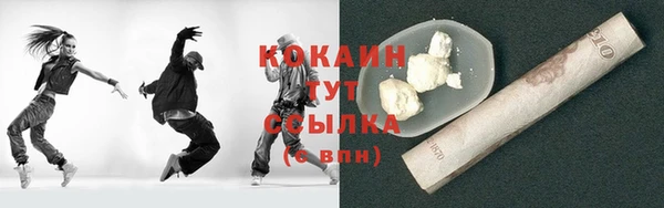 бошки Белокуриха