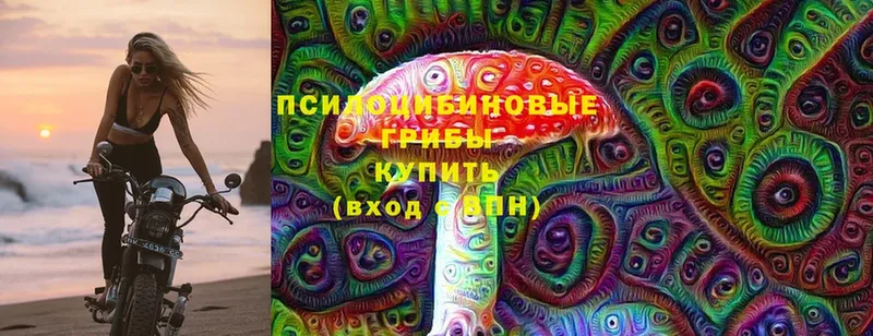 Псилоцибиновые грибы Psilocybine cubensis  Берёзовский 